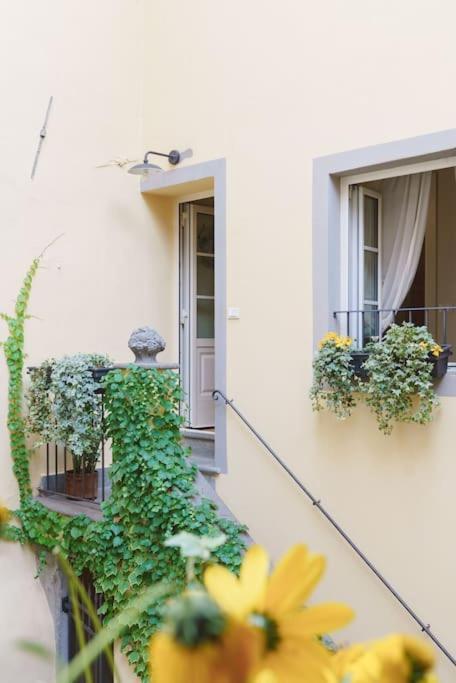 Corte Paolina - Charming Courtyard Inside Lucca Bagian luar foto