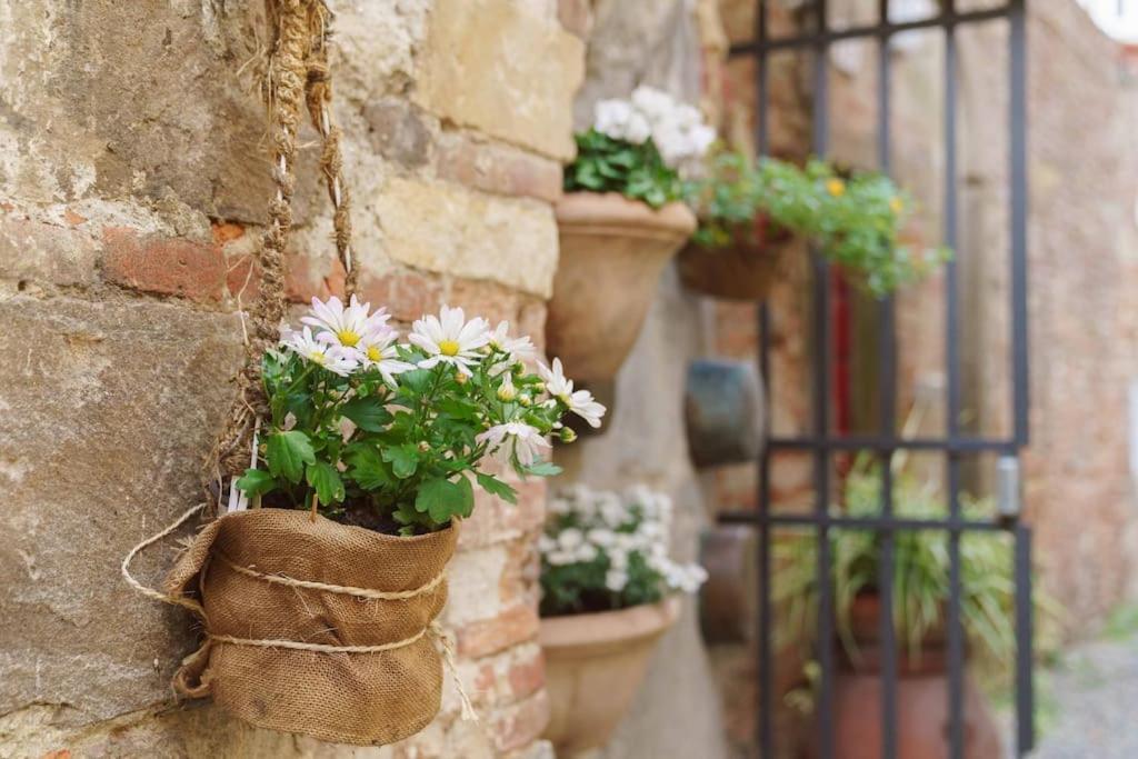 Corte Paolina - Charming Courtyard Inside Lucca Bagian luar foto