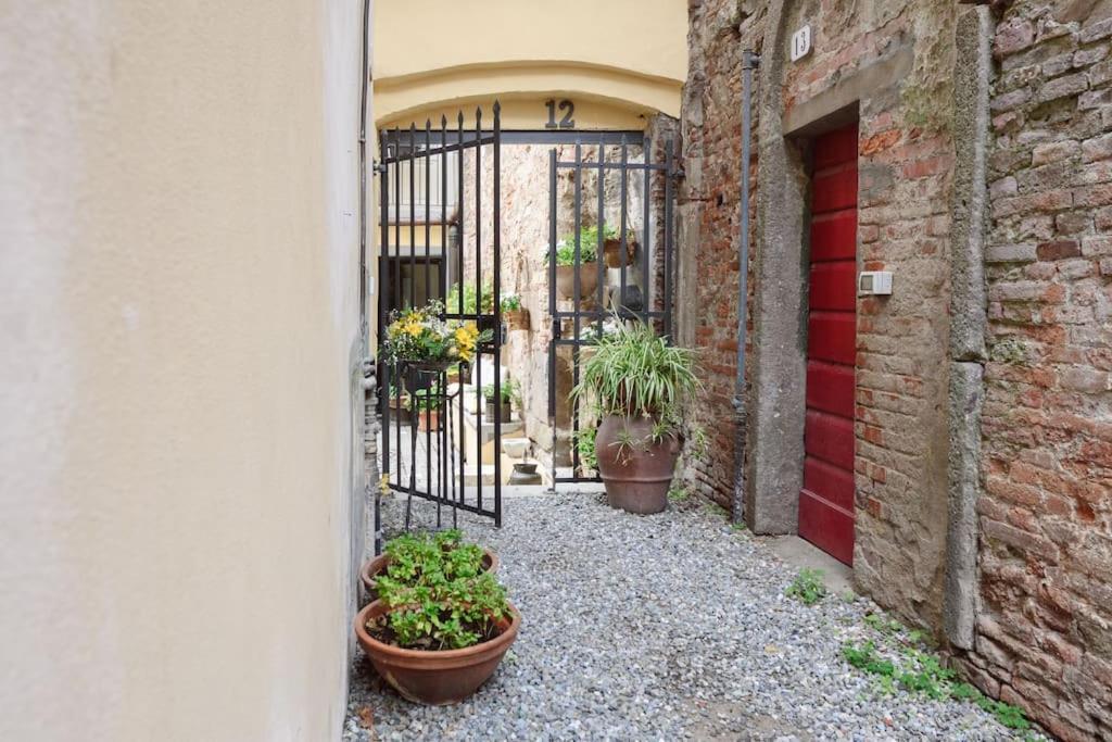 Corte Paolina - Charming Courtyard Inside Lucca Bagian luar foto