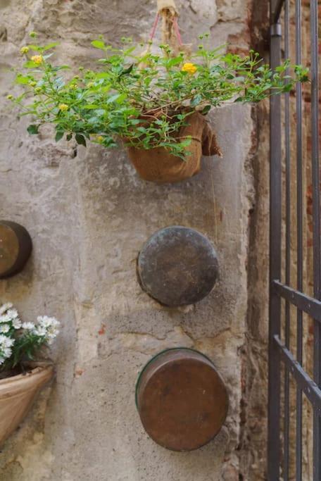 Corte Paolina - Charming Courtyard Inside Lucca Bagian luar foto
